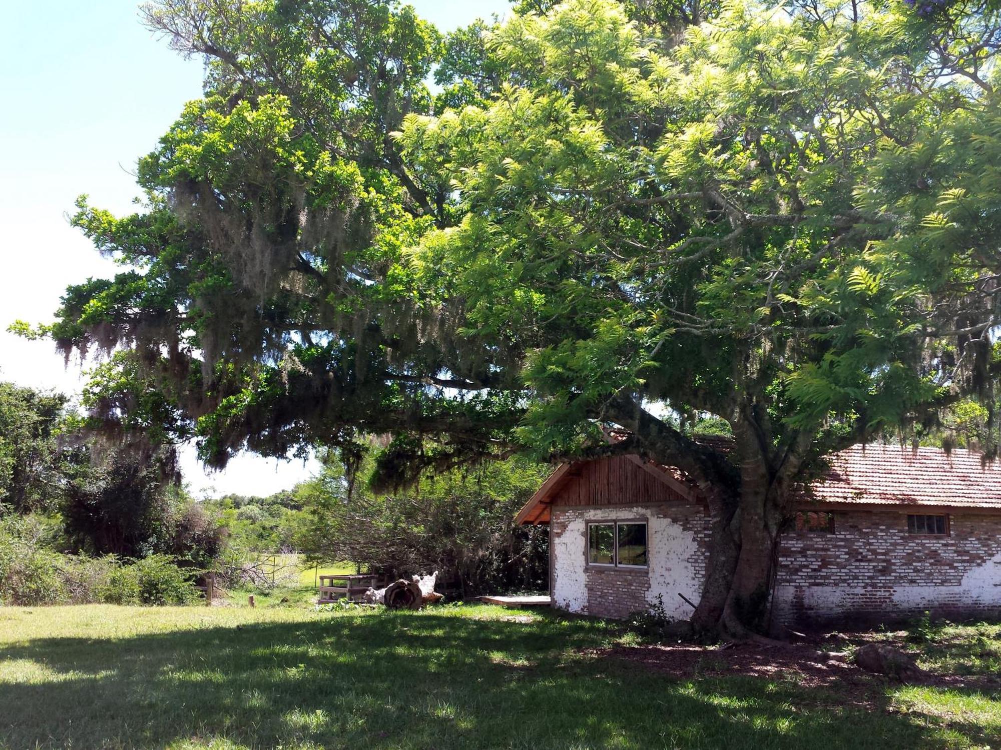 Aldeia Santuario Das Aves Tavares Cameră foto